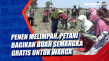 Penen Melimpah, Petani...