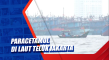 Paracetamol di Laut...