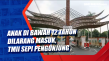 Anak di Bawah 12 Tahun...