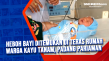 Heboh Bayi Ditemukan...