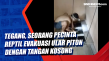 Tegang, Seorang Pecinta...