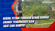 Heboh, Petani Temukan...