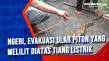 Ngeri, Evakuasi Ular...