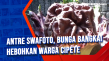 Antre Swafoto, Bunga...