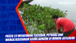 Pasca 23 Wisatawan Terjebak,...