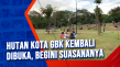 Hutan Kota GBK Kembali...