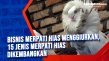 Bisnis Merpati Hias...