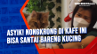 Asyik! Nongkrong di...