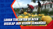 Lahan Terlantar di Aceh...