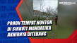 Pohon Tempat Nonton...