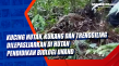 Kucing Hutan, Kukang...