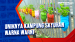 Uniknya Kampung Sayuran...