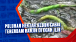Puluhan Hektar Kebun...