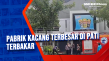 Pabrik Kacang Terbesar...
