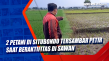 2 Petani di Situbondo...