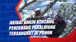 Akibat Angin Kencang,...