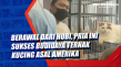 Berawal dari Hobi, Pria...