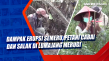Dampak Erupsi Semeru,...
