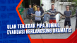 Ular Terjebak Pipa Rumah,...