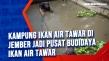 Kampung Ikan Air Tawar...