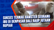 Sukses Ternak Hamster...