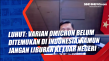 Luhut: Varian Omicron...