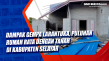 Dampak Gempa Larantuka,...