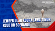 Nekat Tangkap Ular Kobra,...