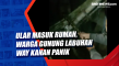 Ular Masuk Rumah, Warga...