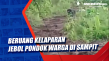 Beruang Kelaparan Jebol...
