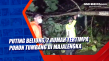 Puting Beliung, 2 Rumah...