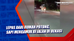 Lepas dari Rumah Potong,...