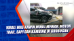 Viral! Mas Kawin Mobil...