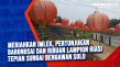 Meriahkan Imlek, Pertunjukan...