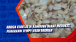 Harga Kedelai di Bandung...