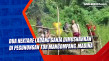 Dua Hektare Ladang Ganja...