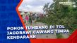 Pohon Tumbang di Tol...