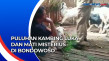 Puluhan Kambing Luka...
