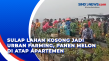 Sulap Lahan Kosong Jadi...