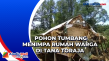 Pohon Tumbang Menimpa...
