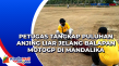 Petugas Tangkap Puluhan...