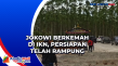 Jokowi Berkemah di IKN,...