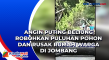 Angin Puting Beliung...