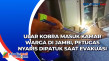 Ular Kobra Masuk Kamar...