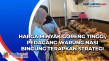 Harga Minyak Goreng...