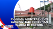 Puluhan Monyet Turun...
