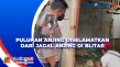 Puluhan Anjing Diselamatkan...