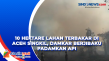 10 Hektare Lahan Terbakar...
