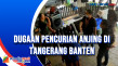 Dugaan Pencurian Anjing...