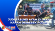 Judi Sabung Ayam di...